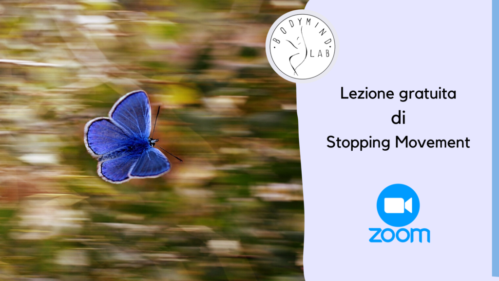 Lezione gratuita di Stopping Movement su Zoom