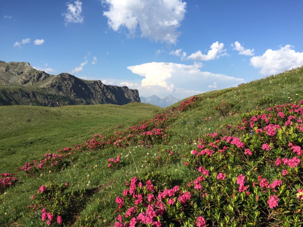 Retreat in Valle D’Aosta: un week-end di benessere e movimento